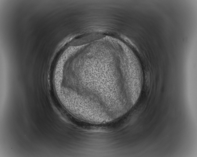 X0000086280682200704191946