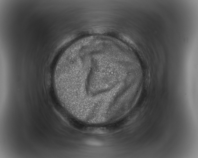 X0000086280683200704191946