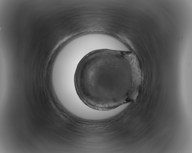 X0000086280684200704191946