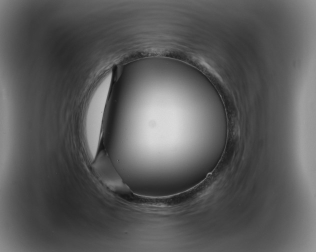 X0000086280685200704191946