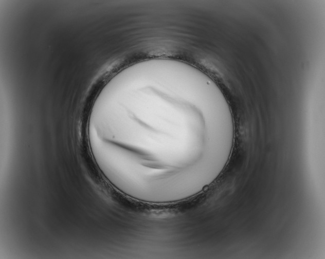 X0000086280686200704191946