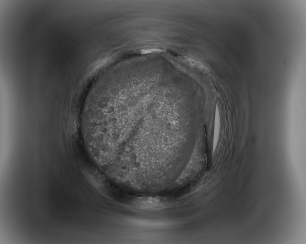 X0000086280687200704191946