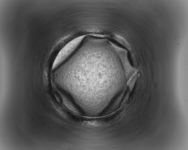 X0000086280688200704191946