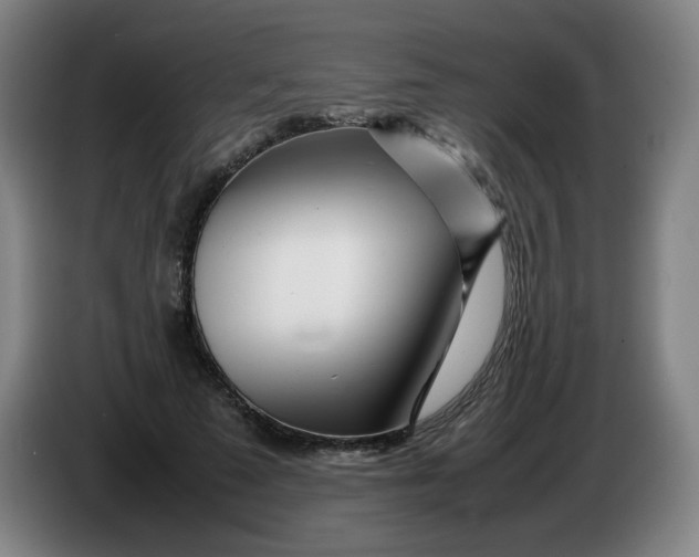 X0000086280689200704191946