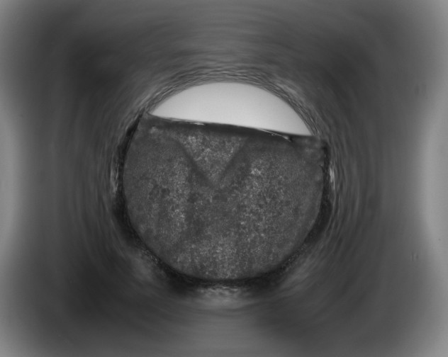 X0000086280691200704191946