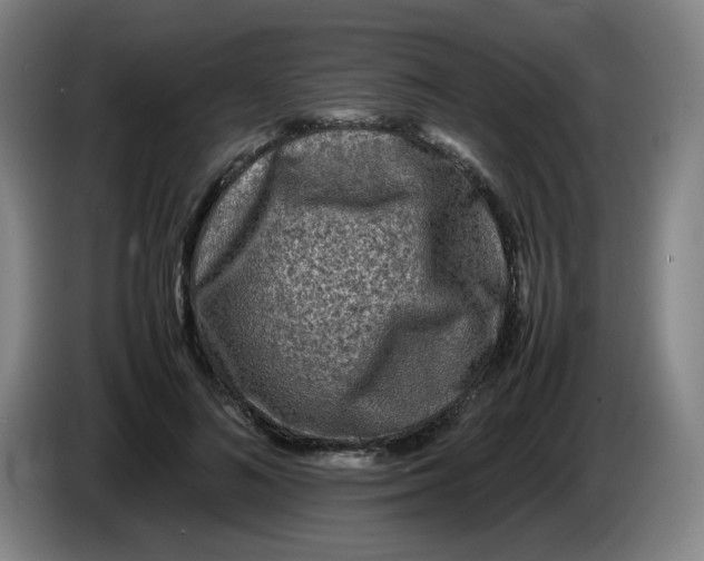 X0000086280692200704191946