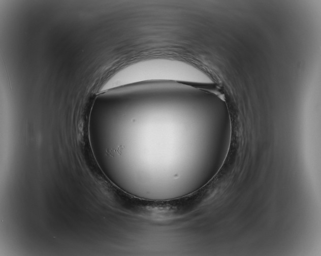 X0000086280693200704191946