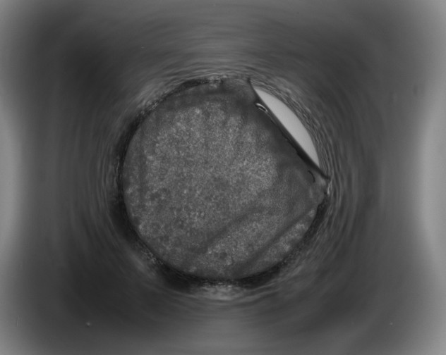 X0000086280695200704191946