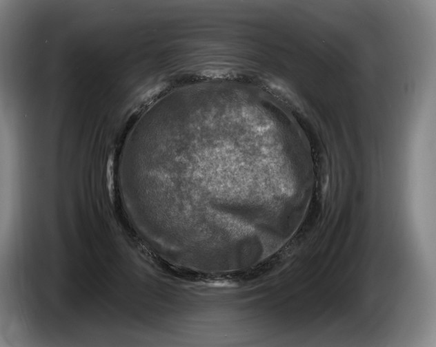 X0000086280696200704191946