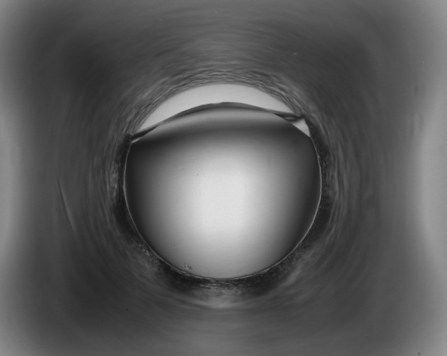 X0000086280697200704191946