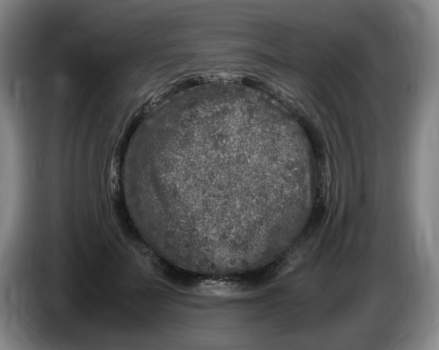 X0000086280699200704191946