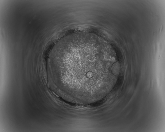 X0000086280703200704191946