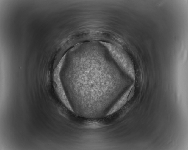 X0000086280704200704191946