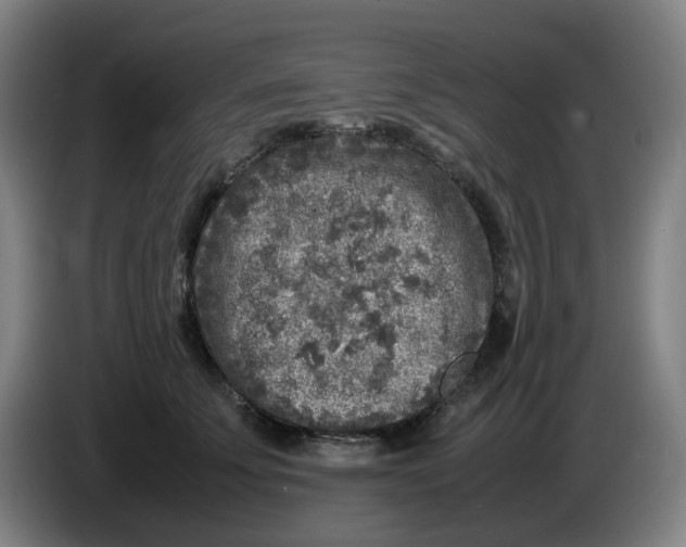 X0000086280707200704191946