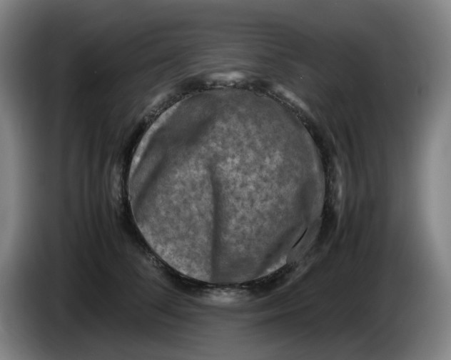 X0000086280708200704191946