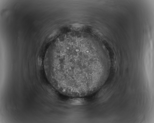 X0000086280711200704191946