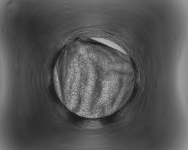 X0000086280715200704191946