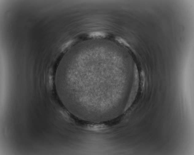 X0000086280716200704191946