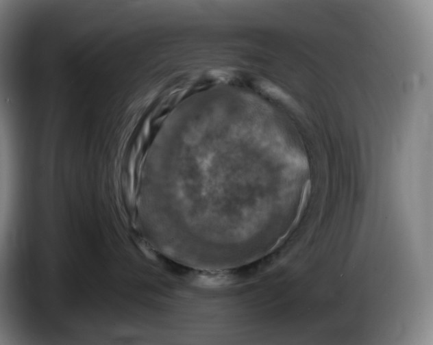 X0000086280720200704191946