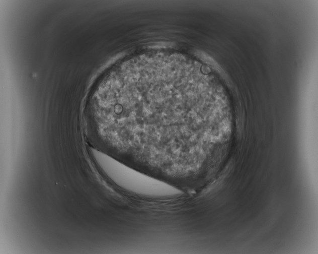 X0000086280721200704191945