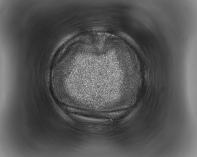 X0000086280725200704191945