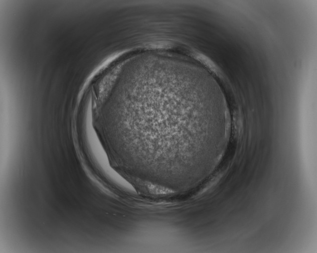 X0000086280726200704191945