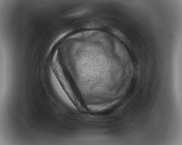 X0000086280727200704191945