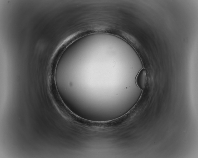 X0000086280728200704191945