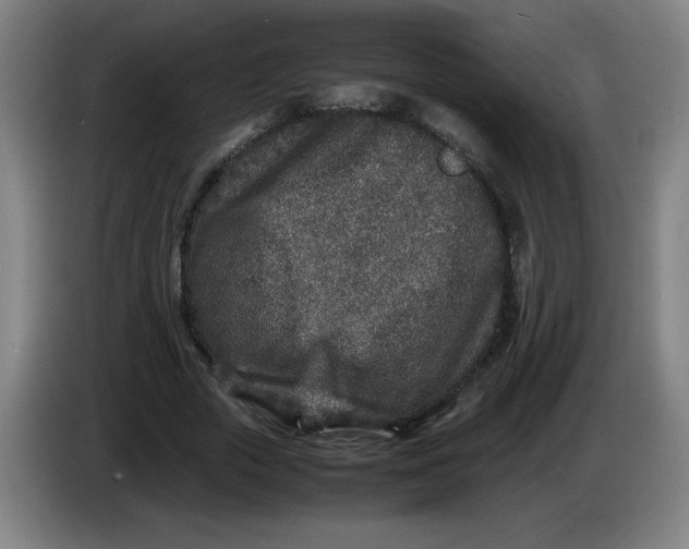 X0000086280729200704191945