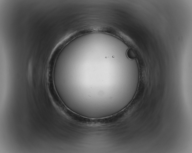 X0000086280730200704191945