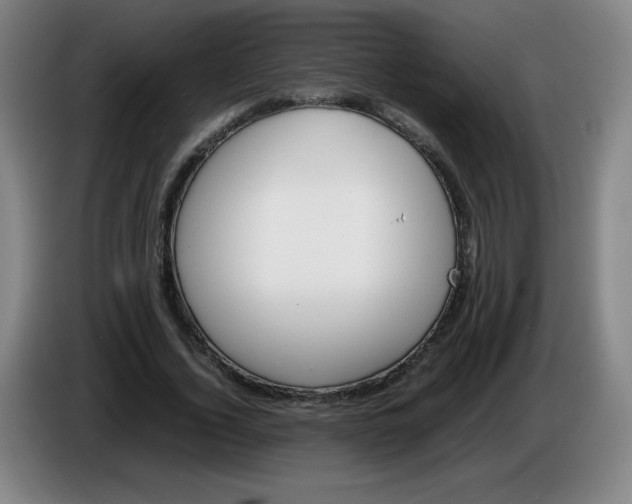 X0000086280732200704191945