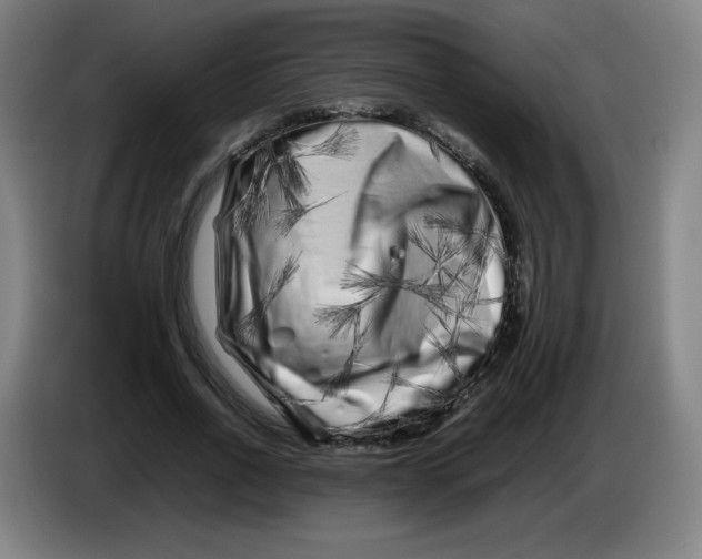 X0000086280734200704191945