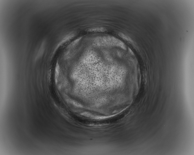 X0000086280735200704191945