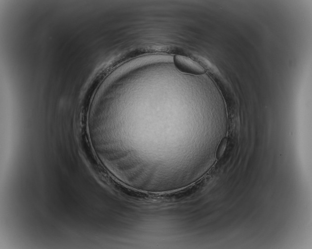 X0000086280736200704191945