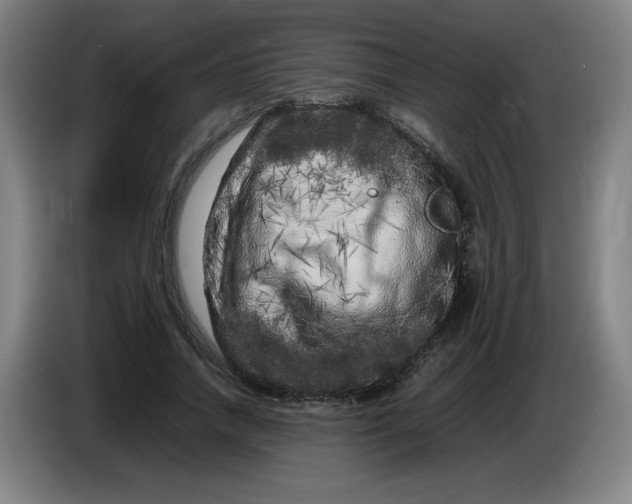 X0000086280738200704191945