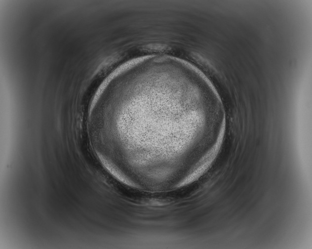 X0000086280739200704191945