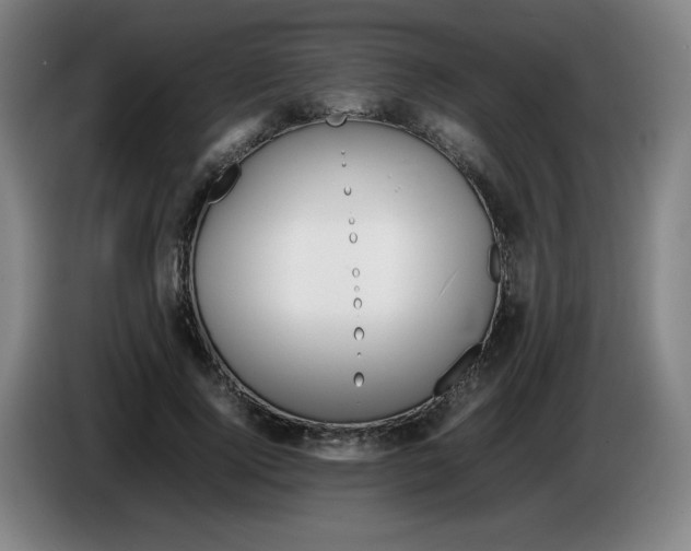 X0000086280740200704191946