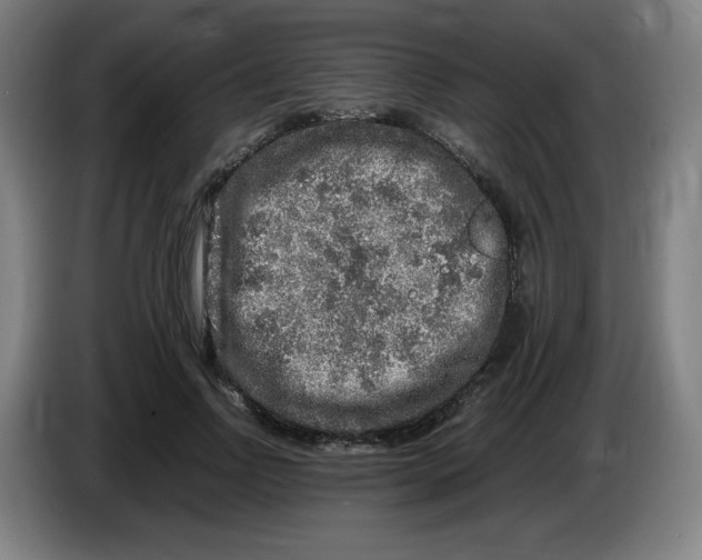 X0000086280742200704191946