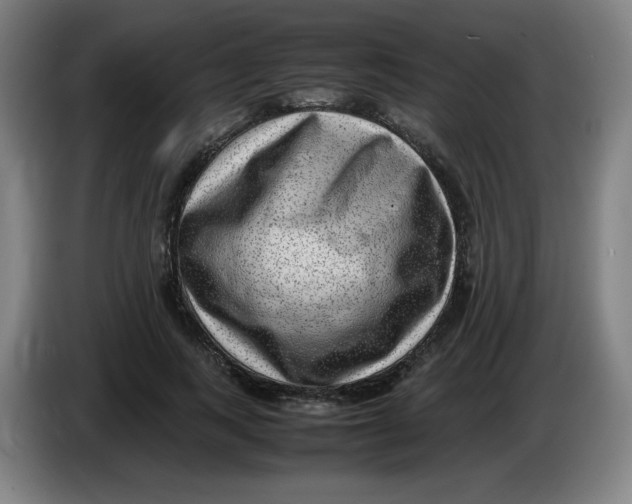 X0000086280743200704191946