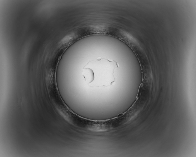 X0000086280744200704191946