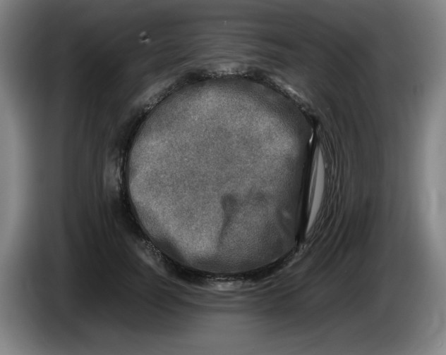 X0000086280746200704191946