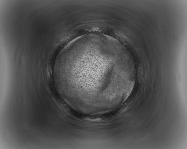 X0000086280747200704191946