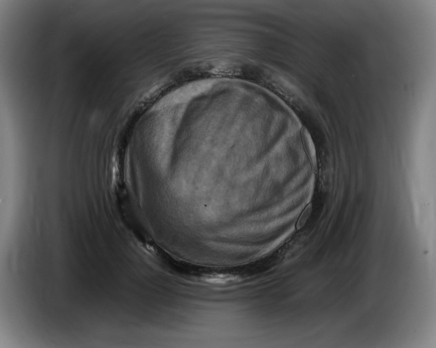 X0000086280748200704191946