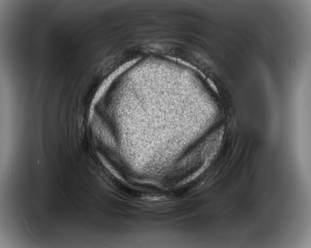 X0000086280749200704191946