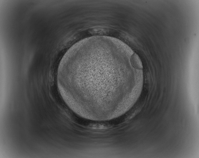 X0000086280751200704191946