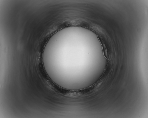 X0000086280752200704191946