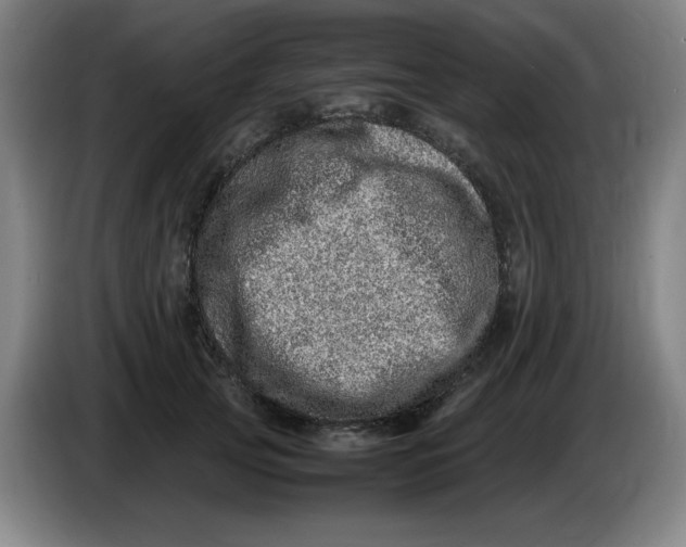 X0000086280753200704191946