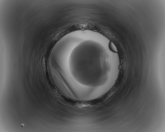 X0000086280754200704191946