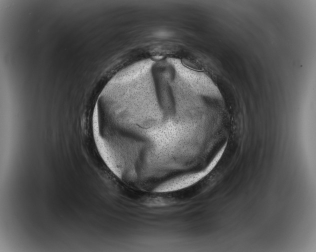 X0000086280755200704191946