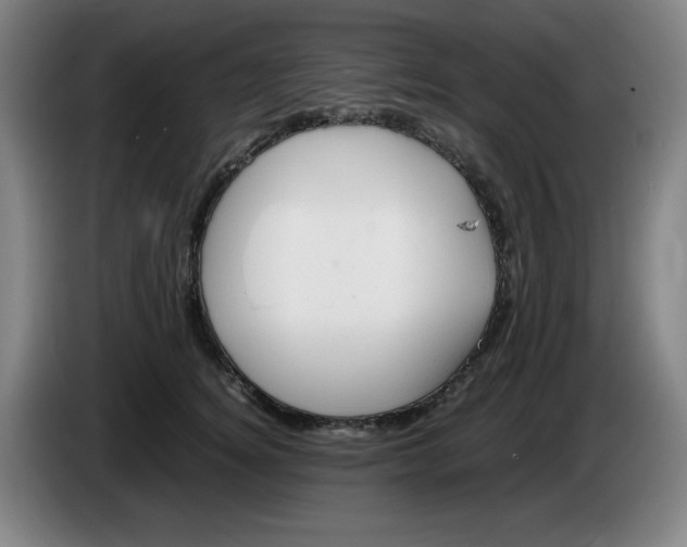 X0000086280756200704191946